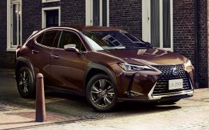 Lexus UX250h Brown Edition 2020 года